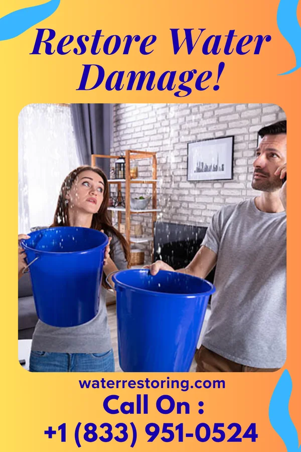 water restoration New Water Restoration Professionals Leisure City
