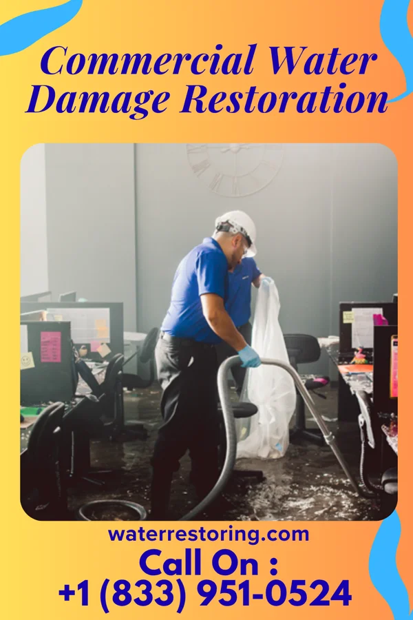 Commercial Water Damage Restoration in Leisure City, FL