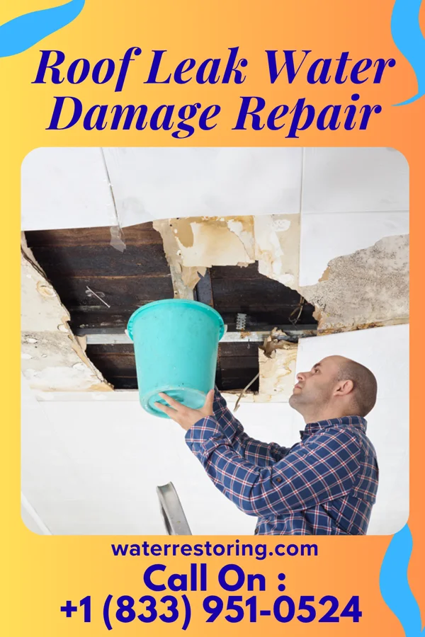 Roof Leak Water Damage Repair in Leisure City, FL
